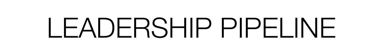 Leadership Pipeline Test - tag gratis test banner